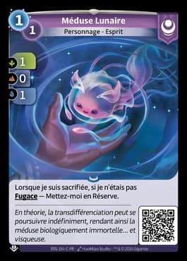 Méduse Lunaire - C Yzmir