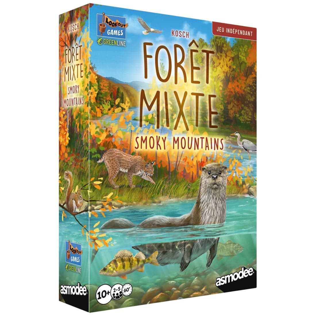 Forêt Mixte - Smoky Mountains