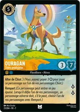 Ouragan - Chien prodigieux