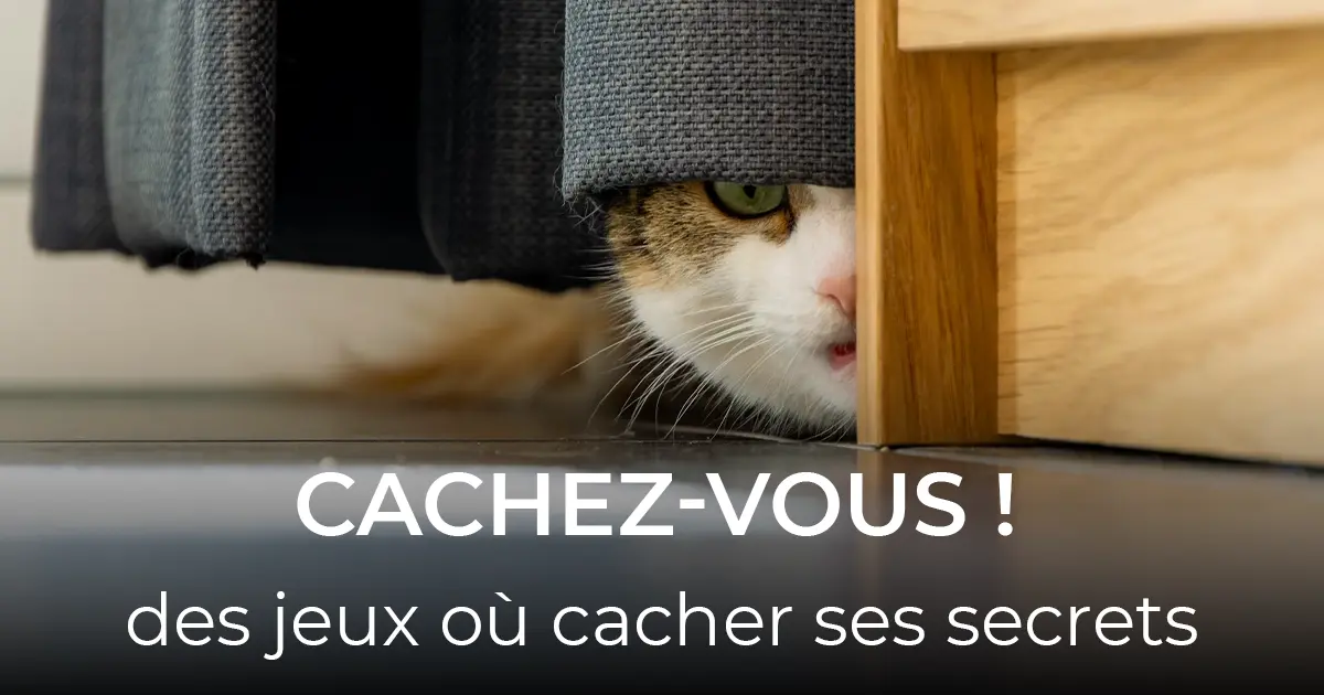 article jeux de bluff 40-21