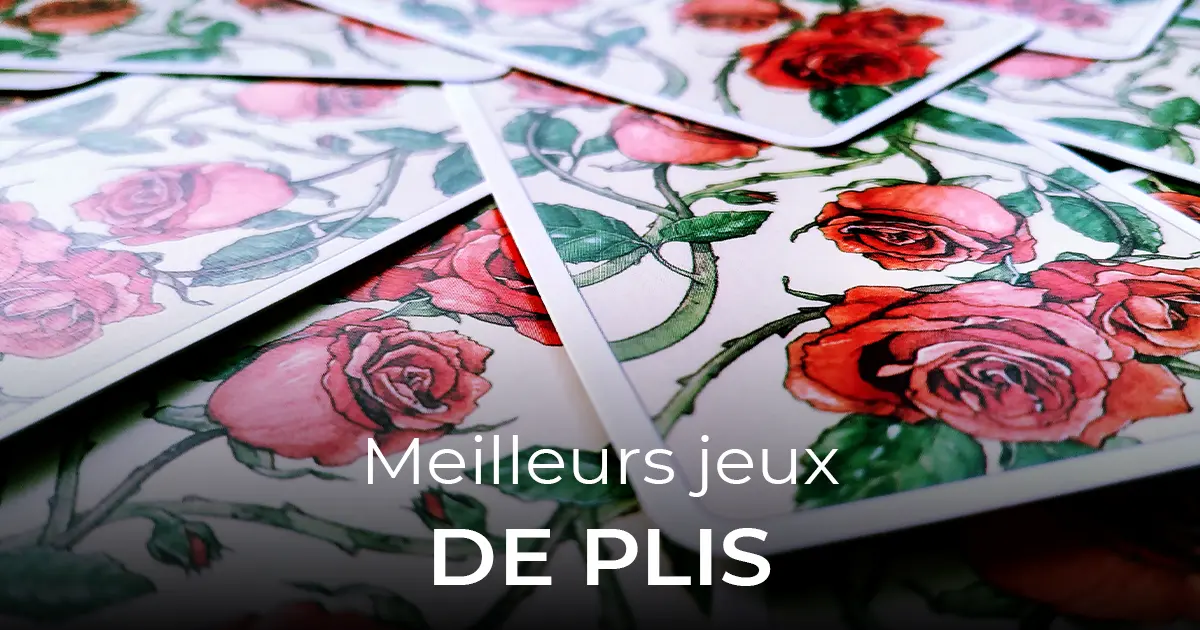 article jeux de plis 40-21