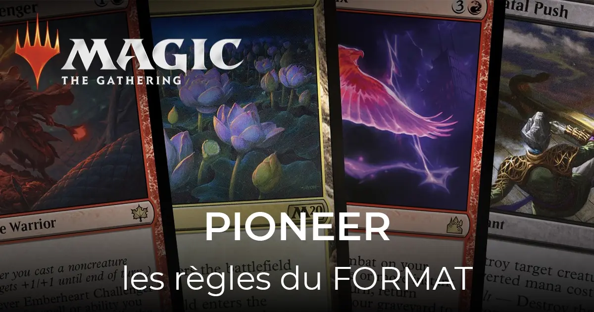 article pioneer magic 40-21