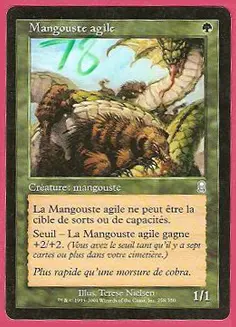 feutre250