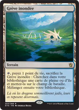 article_pioneer_greve_inondee