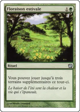 floraison_estivale