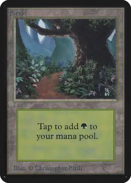 Path