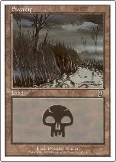 Swamp