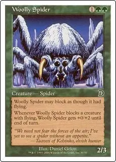 Woolly Spider