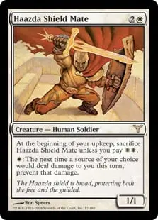 Haazda Shield Mate