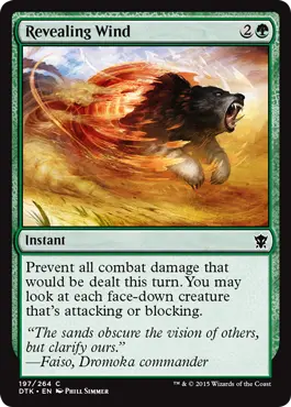 Revealing Wind