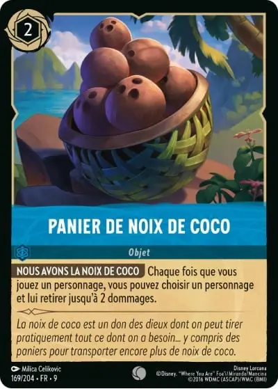 Panier De Noix De Coco