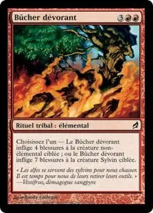 Consuming Bonfire