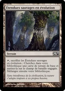 Evolving Wilds
