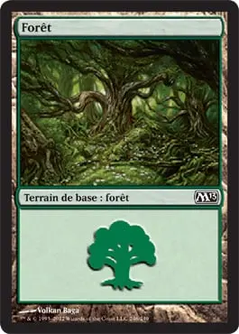 Forest
