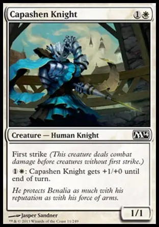 Capashen Knight