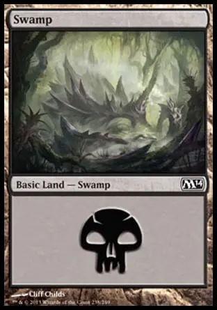 Swamp