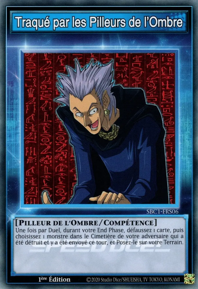 Traqué par les Pilleurs de l'Ombre