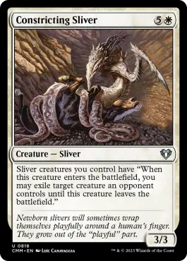 Slivoïde constricteur