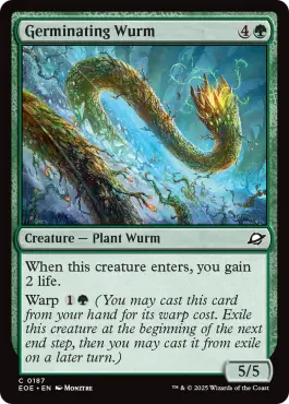 Guivre en germination