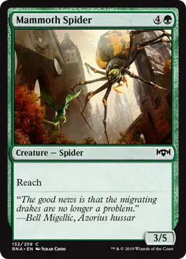 Araignée mammouth