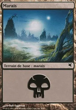 Swamp