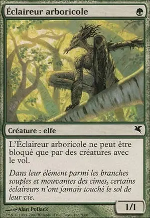 Treetop Scout