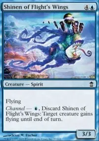 Shinen des ailes du vol