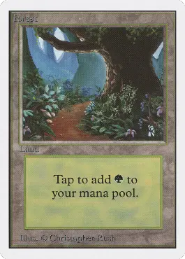 Path with flowers