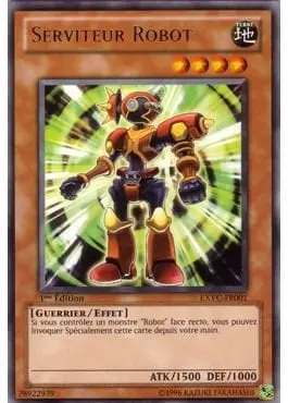 Serviteur Robot