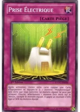 Prise Electrique