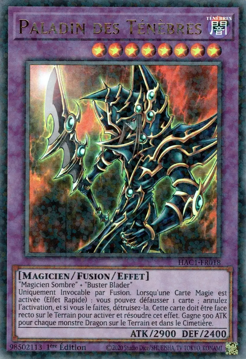 Paladin des Ténèbres
