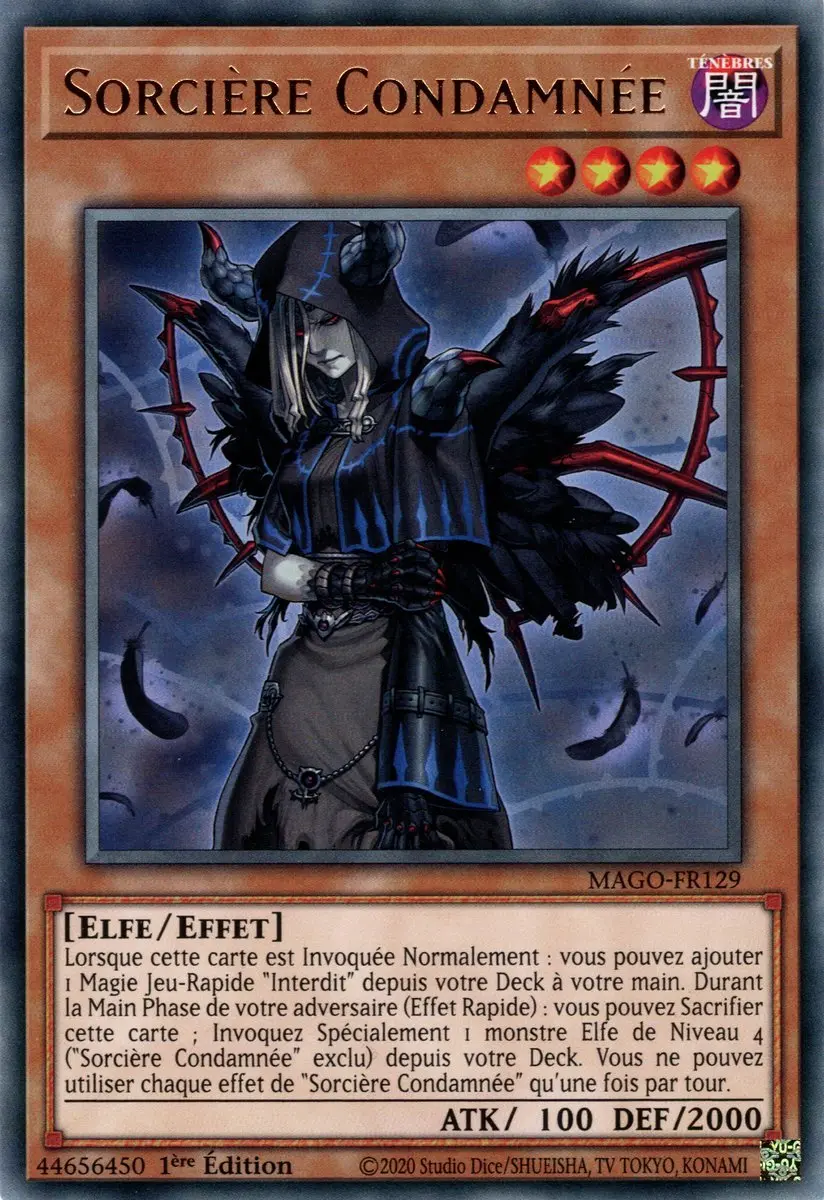 Sorcière Condamnée