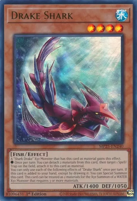 Requin Drakon