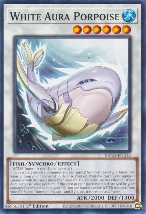 Marsouin Aura Blanche