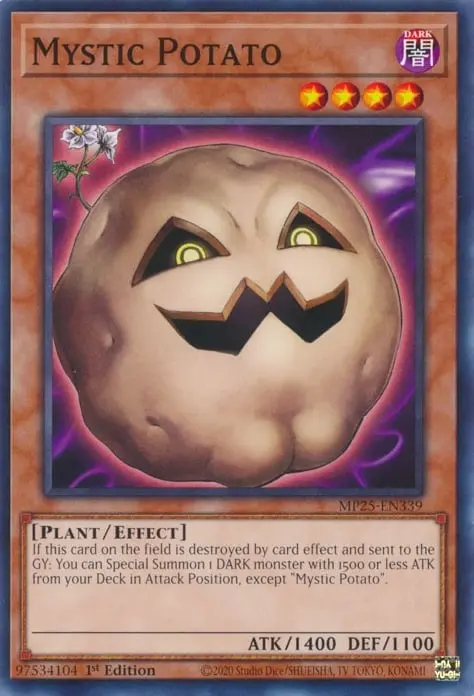 Pomme de Terre Mystique