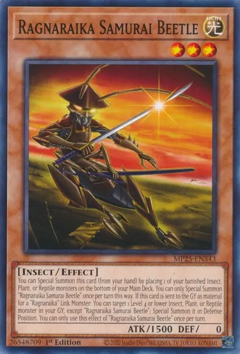 Scarabée Samouraï Ragnaraika