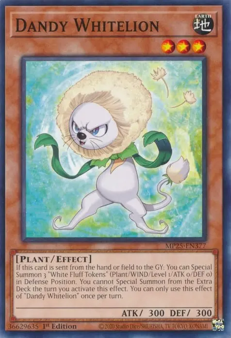 Dandy Blanclion