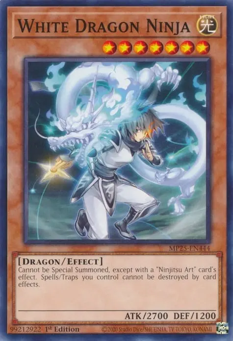 Ninja Dragon Blanc