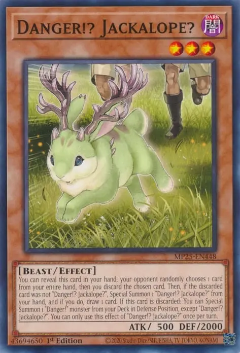Danger !? Jackalope ?