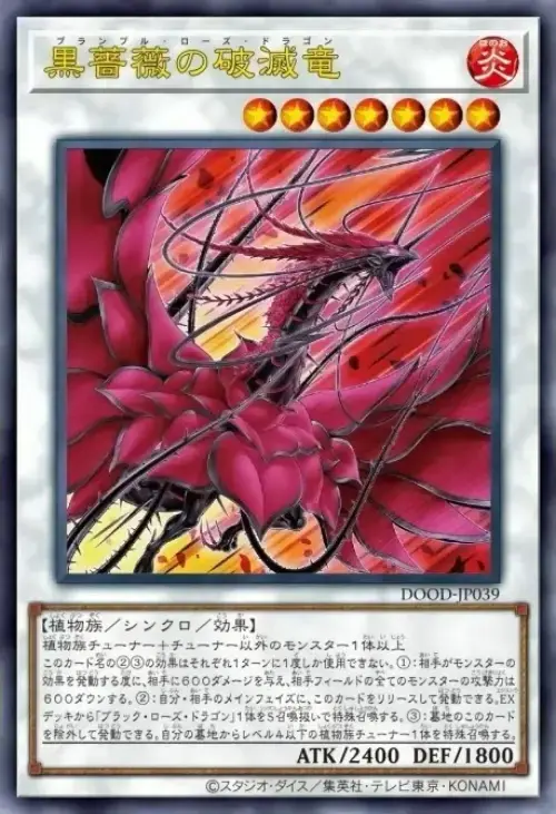 Dragon Rose Ronces