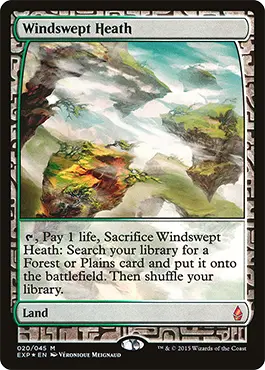 Windswept Heath