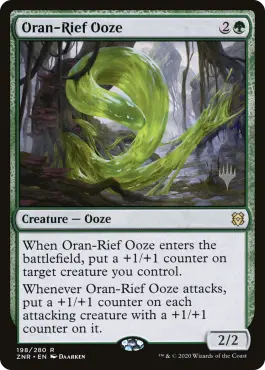 Limon d'Oran-Rief