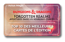 Top 10 des meilleures cartes D&D : Aventures dans les Royaumes Oubliés