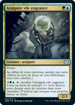 Araignée vile engeance