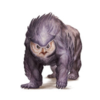 Illustration d'un Ours-hibou