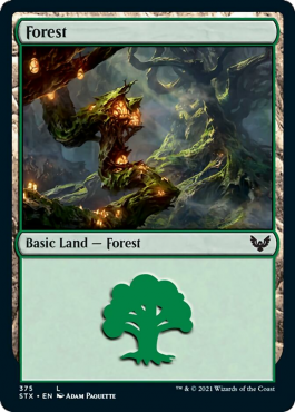 Forêt