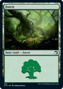 Forêt