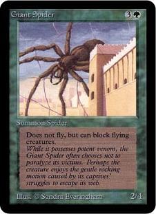 Araignée géante
