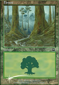 Forêt