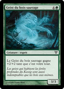 Geist du bois sauvage